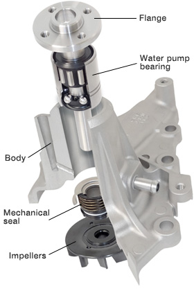 Gmb Water Pump Cross Sectiuon